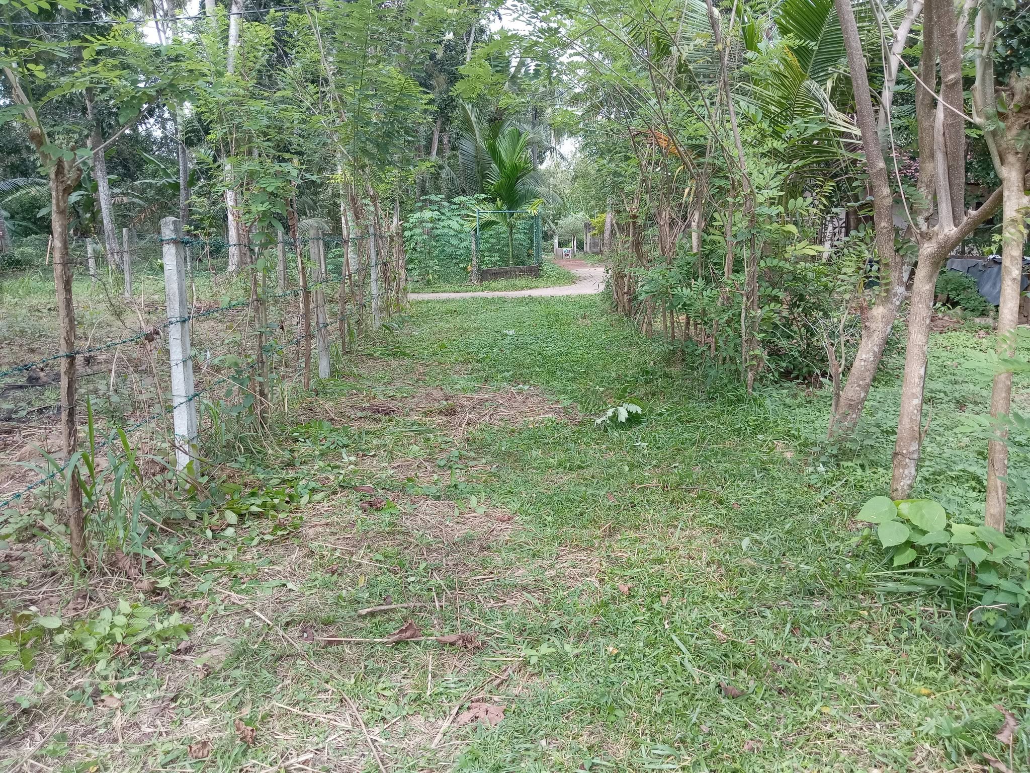 මිනුවන්ගොඩ – කටුනායක ප්‍රධාන පාරට නුදුරින් දැවමොට්ටාව ග්‍රාමයේ පිහිටි පර්.16.5 ක අගනා බිම් කොටස හැකි ඉක්මනින් විකුණනු ලැබේ.