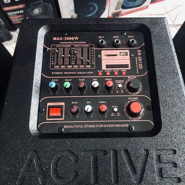 ACTIVE PA SPEAKER MODEL – DS 2012