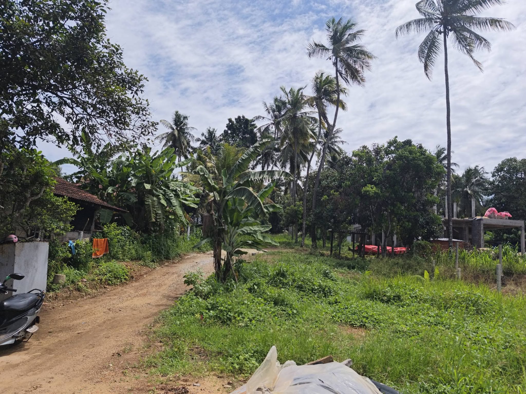 කඩවත ගනේමුල්ල පාරට මුහුනලා ඉඩමක් විකිනීමට