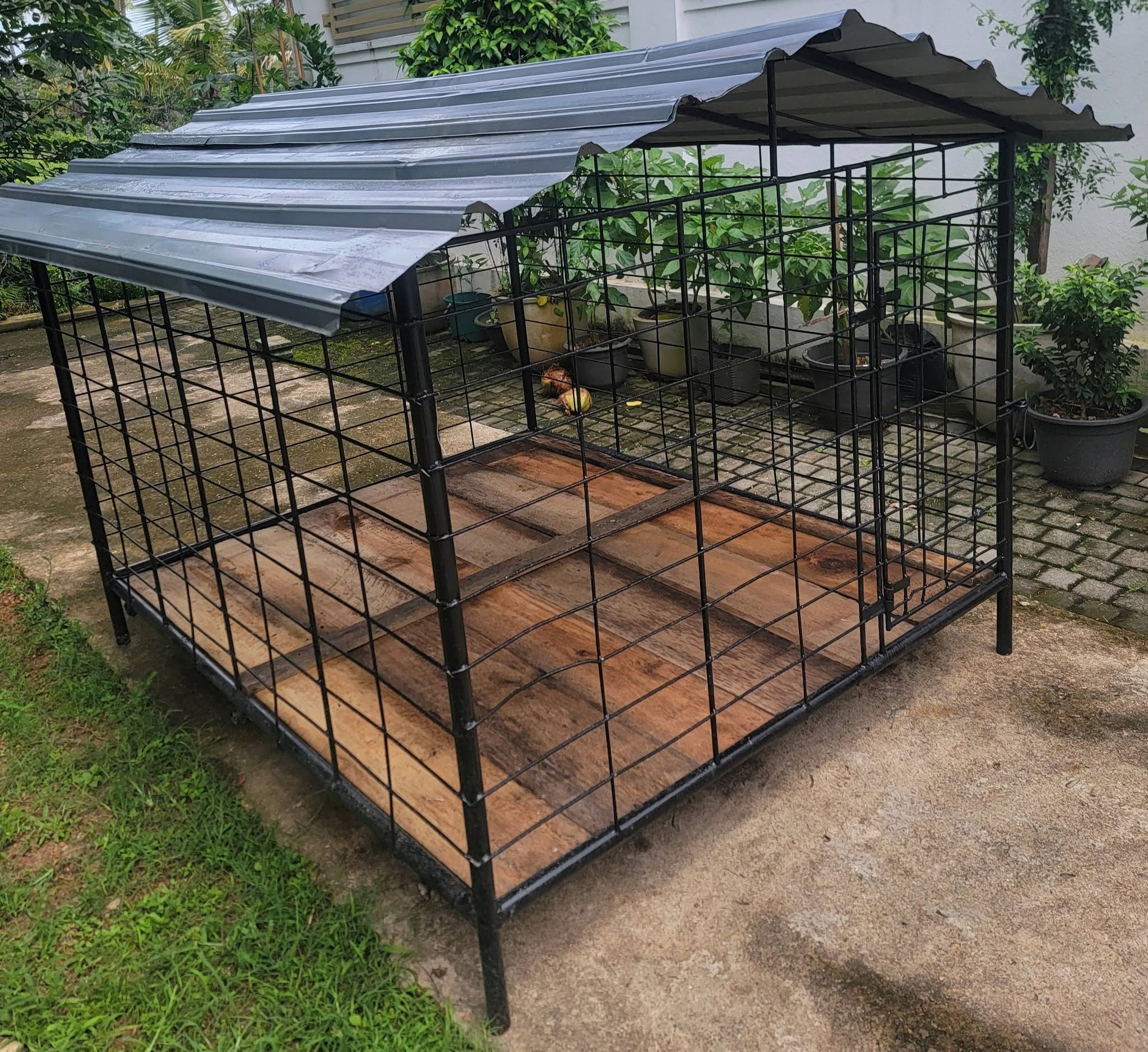 Large used Dog Cage for Sale (6ft x 5ft x 5ft)