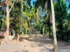 සුපිරි ඉඩම් කැබැල්ලක් හොයන අයට මෙන්න සුපිරියක් …පීල්ලවත්ත ,උන්නාරුව ප්‍රදේශයෙන් .