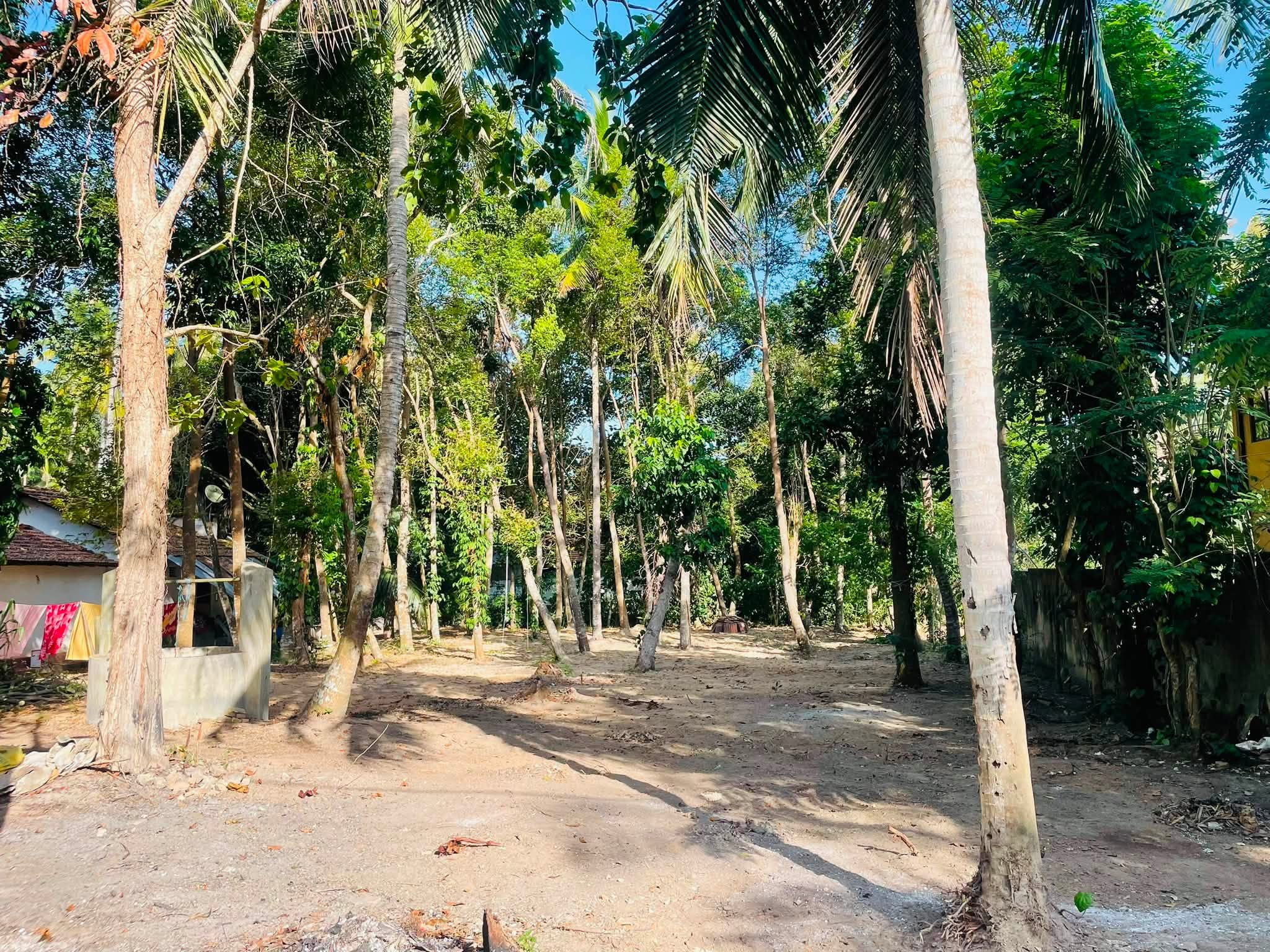 සුපිරි ඉඩම් කැබැල්ලක් හොයන අයට මෙන්න සුපිරියක් …පීල්ලවත්ත ,උන්නාරුව ප්‍රදේශයෙන් .