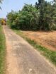 හංවැල්ල ජයවීරගොඩ පාරේ පර් 16.5ක ඉඩමක් විකිණීමට ඇත.