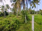 වෙන්නප්පුව කිරිමැටියාන මාර්ගයේ ඉඩමක් විකිණීමට ඇත.