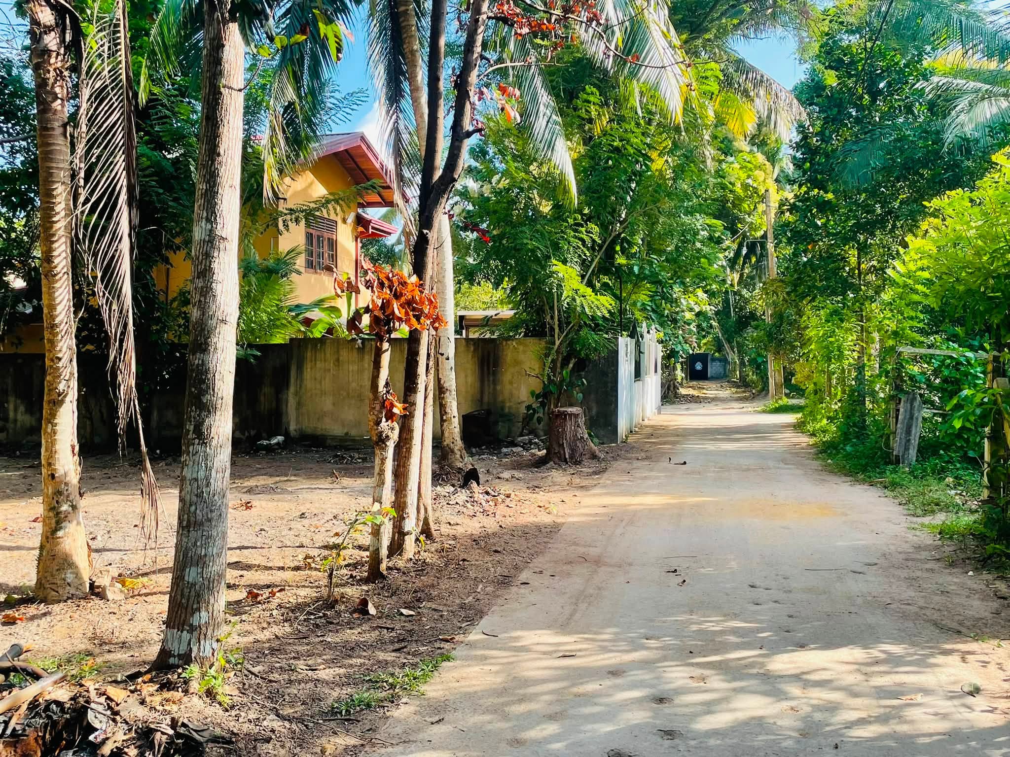 සුපිරි ඉඩම් කැබැල්ලක් හොයන අයට මෙන්න සුපිරියක් …පීල්ලවත්ත ,උන්නාරුව ප්‍රදේශයෙන් .