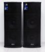 PASSIVE SPEAKER MODEL – 8825