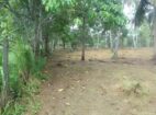 පාමුණුව, මිනුවන්ගොඩ–වේයන්ගොඩ ප්‍රධාන මාර්ගය අසල වටිනා ඉඩමක් විකිණීමට