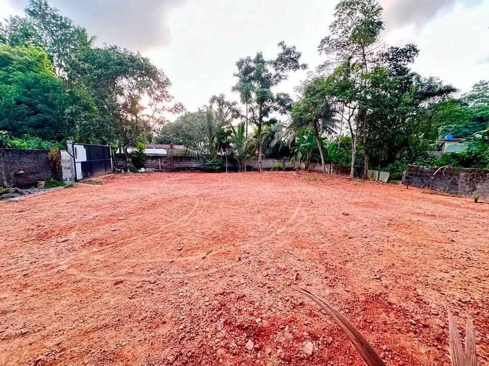 A6)මාකොළ ගුණරතන මාවතේ ඇතුලත පිහිටි purchase 16 ක තාප්ප වලින් වට කර ගේට්ටු දමා ඇති .නිරවුල් ඉඩම විකිණීමට