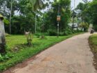 පර් 21.5ක අගනා ඉඩම ඉක්මනින් විකිණීමට..