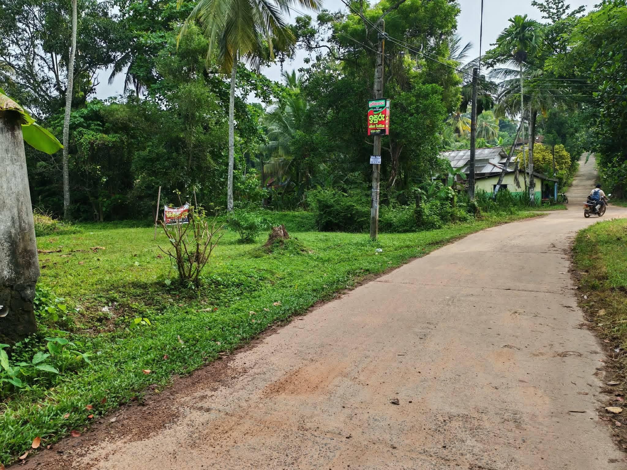 පර් 21.5ක අගනා ඉඩම ඉක්මනින් විකිණීමට..