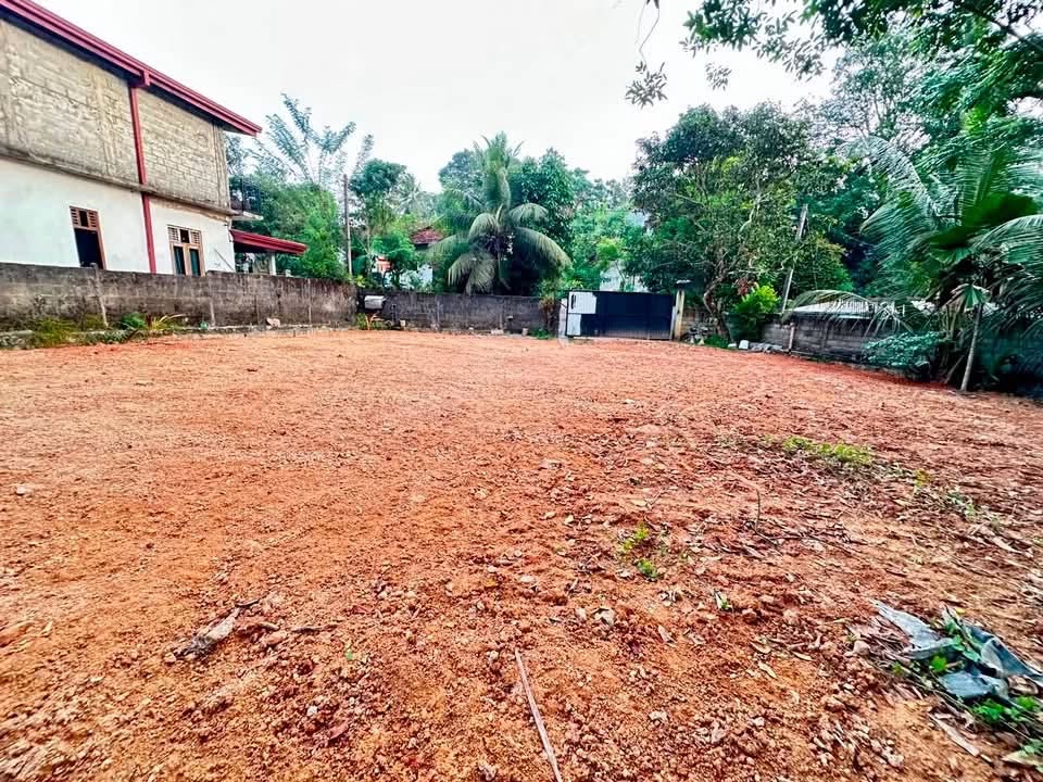 A6)මාකොළ ගුණරතන මාවතේ ඇතුලත පිහිටි purchase 16 ක තාප්ප වලින් වට කර ගේට්ටු දමා ඇති .නිරවුල් ඉඩම විකිණීමට
