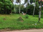 පර් 21.5ක අගනා ඉඩම ඉක්මනින් විකිණීමට..