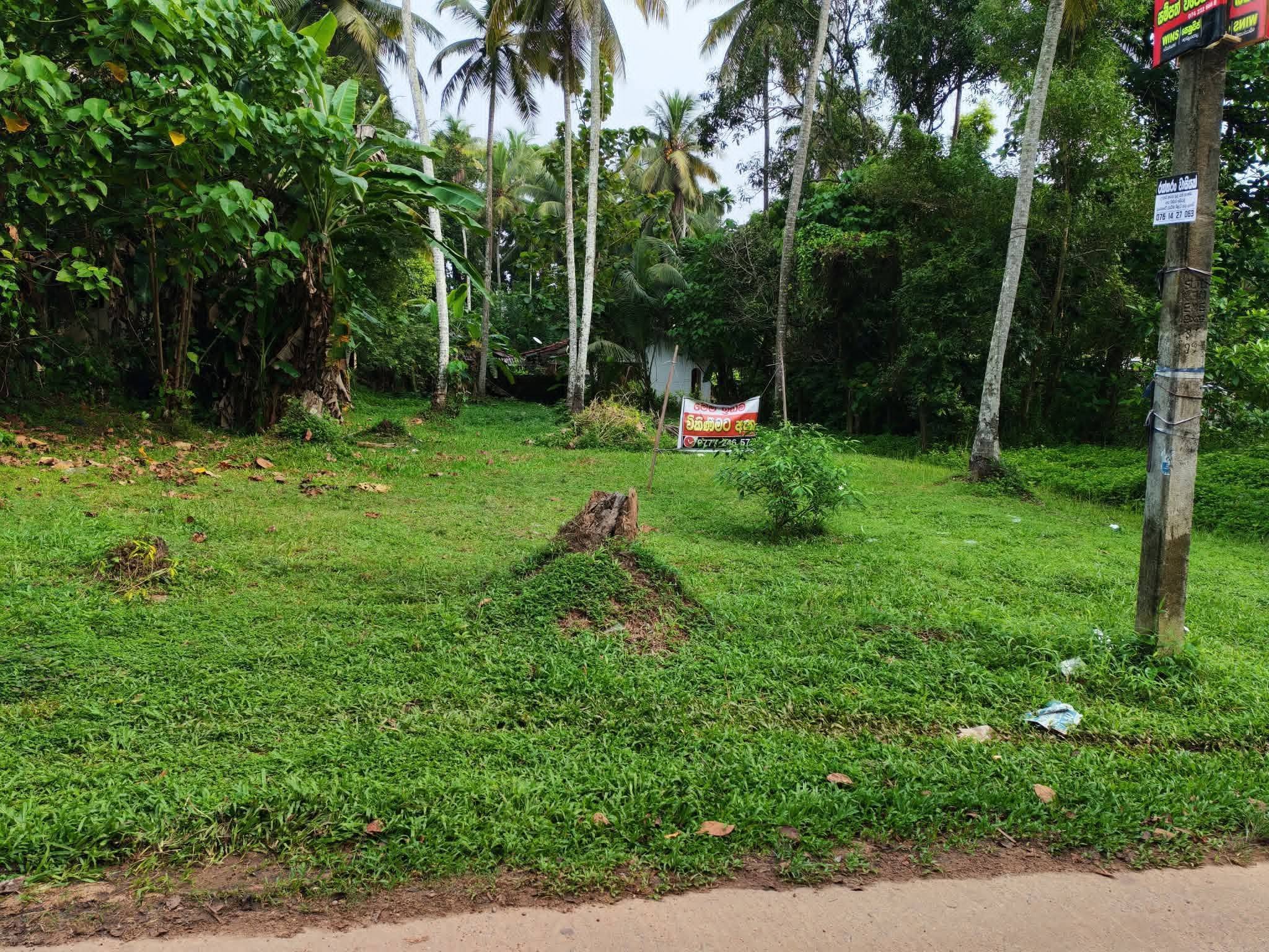 පර් 21.5ක අගනා ඉඩම ඉක්මනින් විකිණීමට..