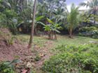 කඩවත ගනේමුල්ල පාරේ පර්චස් 6ක ඉඩමක් විකිනීමට