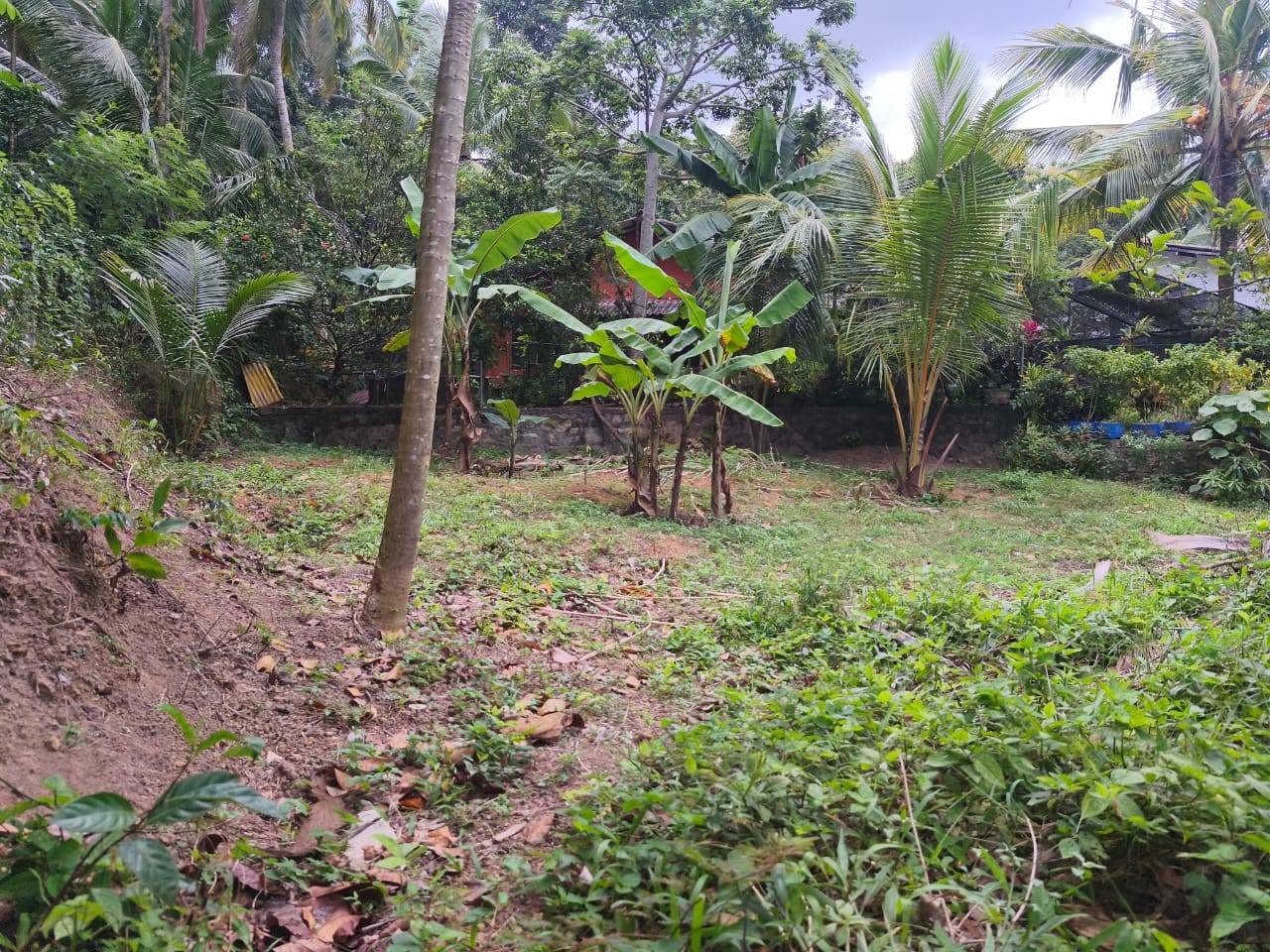 කඩවත ගනේමුල්ල පාරේ පර්චස් 6ක ඉඩමක් විකිනීමට