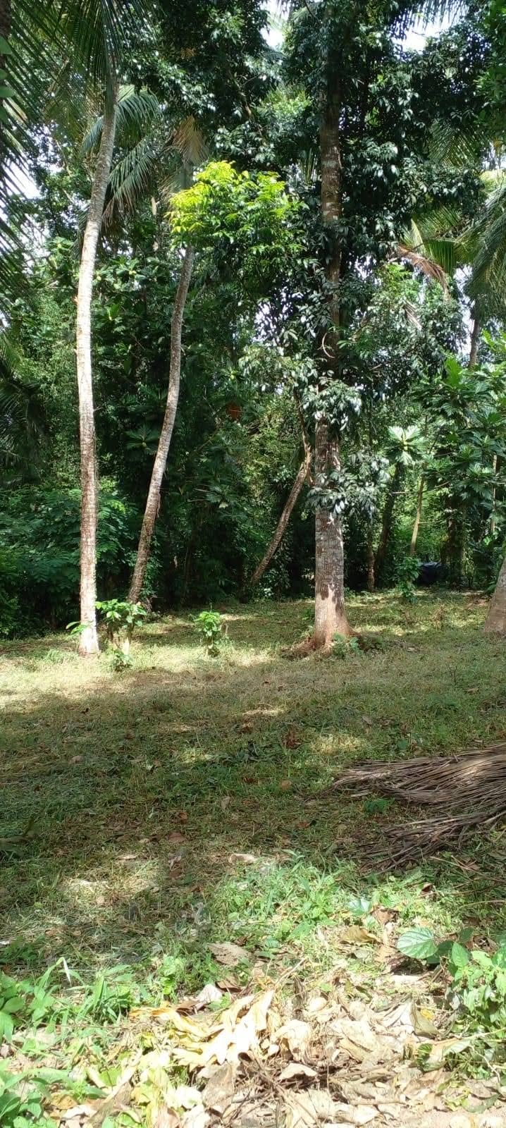 මිනුවන්ගොඩ ඉඩමක් විකිනීමට ඇත….
