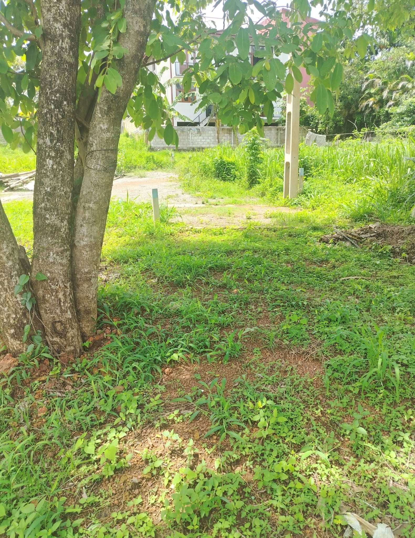 කඳාන නගරයට ආසන්න ව පරන DRO පාරෙන් පචස් 6 ක ඉඩමක් ව්කිණීමට ඇත.