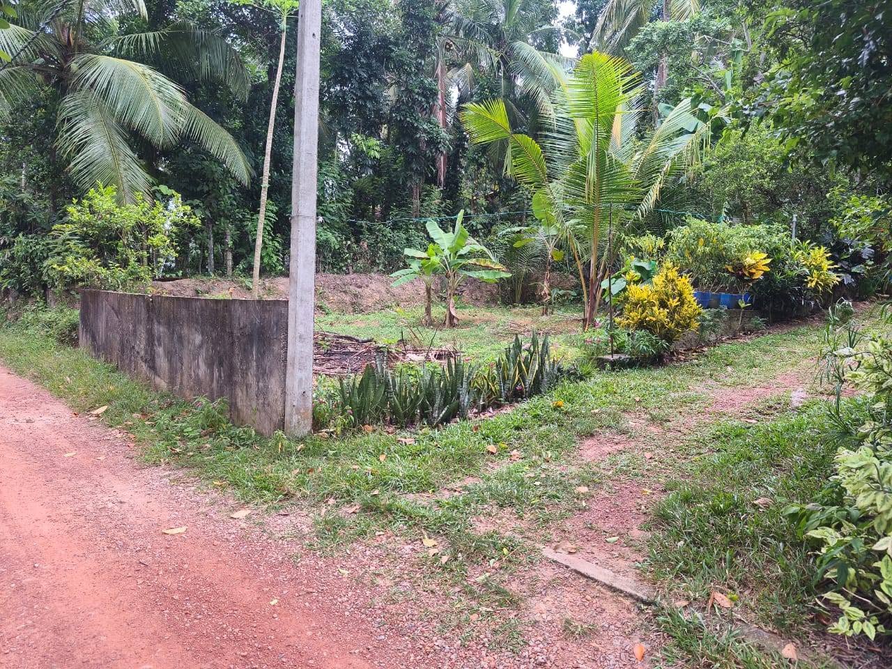 කඩවත ගනේමුල්ල පාරේ පර්චස් 6ක ඉඩමක් විකිනීමට