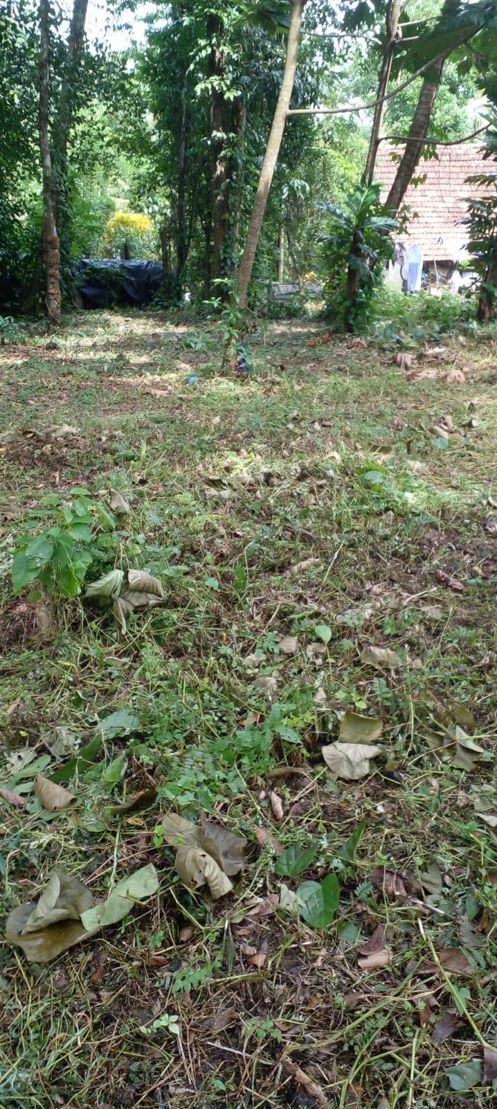 මිනුවන්ගොඩ ඉඩමක් විකිනීමට ඇත….