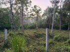 සංචාරක හෝටල් කබානා සදහා සුදුසු පරිසරයකි. FOR SALE