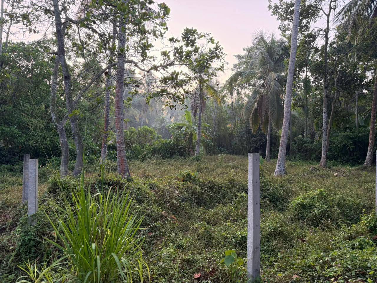 සංචාරක හෝටල් කබානා සදහා සුදුසු පරිසරයකි. FOR SALE