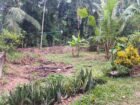 කඩවත ගනේමුල්ල පාරේ පර්චස් 6ක ඉඩමක් විකිනීමට
