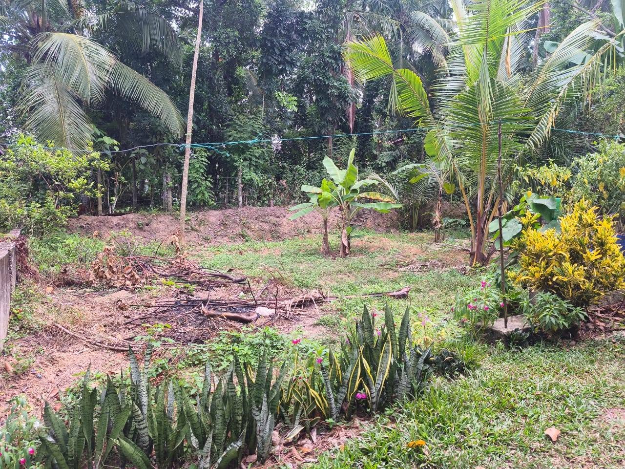 කඩවත ගනේමුල්ල පාරේ පර්චස් 6ක ඉඩමක් විකිනීමට
