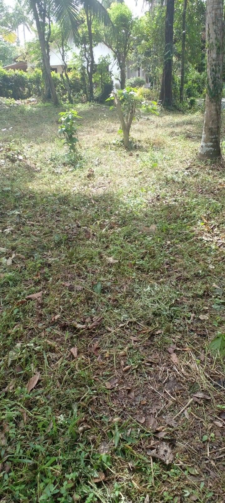 මිනුවන්ගොඩ ඉඩමක් විකිනීමට ඇත….