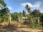 කිඹුලපිටිය දමින්නගහවත්ත පර්චස් 10ක ඉඩමක් විකිණීමට .