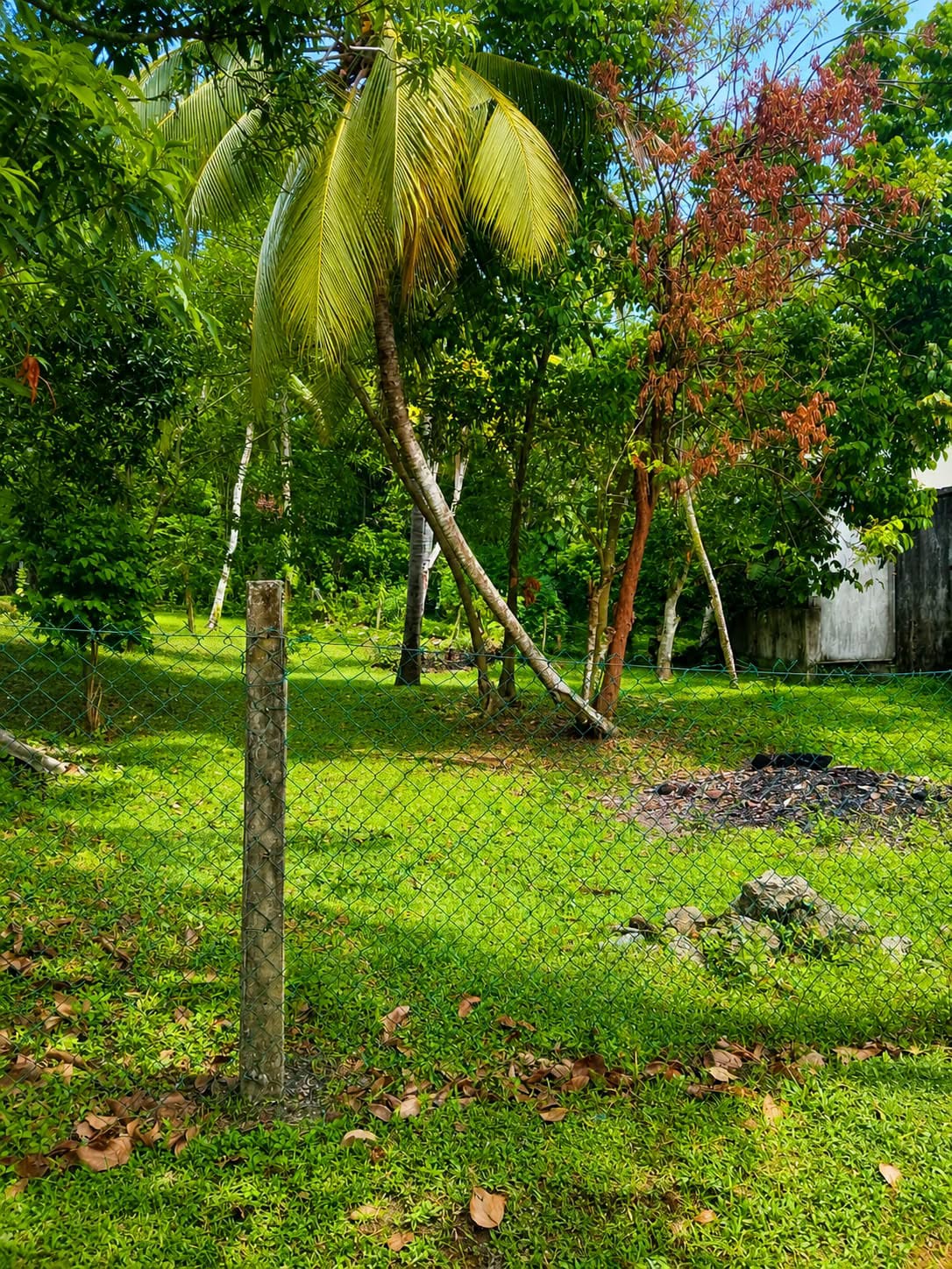 පානදුර ද සිල්වා පාරෙන් ඉඩමක් විකිණීමට