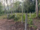 සංචාරක හෝටල් කබානා සදහා සුදුසු පරිසරයකි. FOR SALE