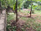 කඩවත ගනේමුල්ල පාරේ පර්චස් 6ක ඉඩමක් විකිනීමට