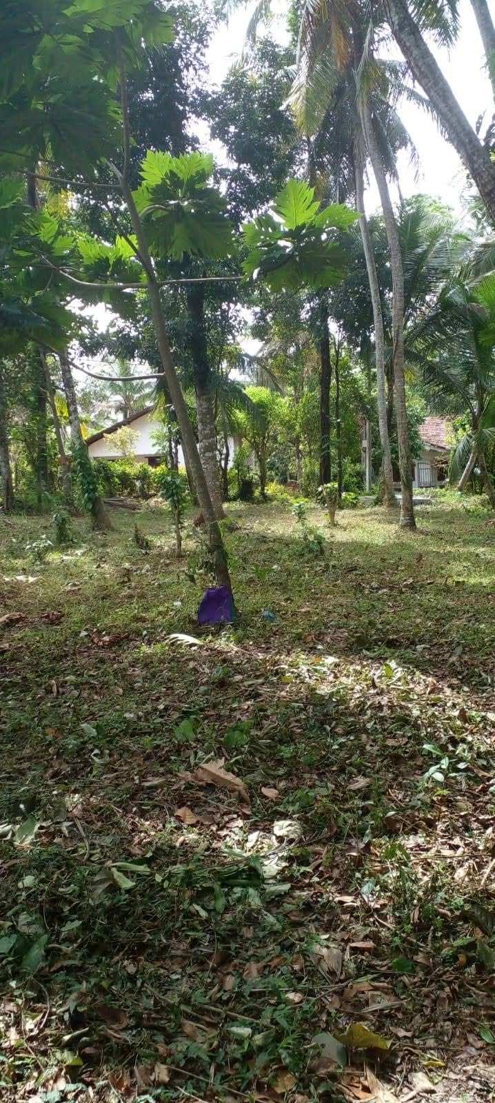 මිනුවන්ගොඩ ඉඩමක් විකිනීමට ඇත….