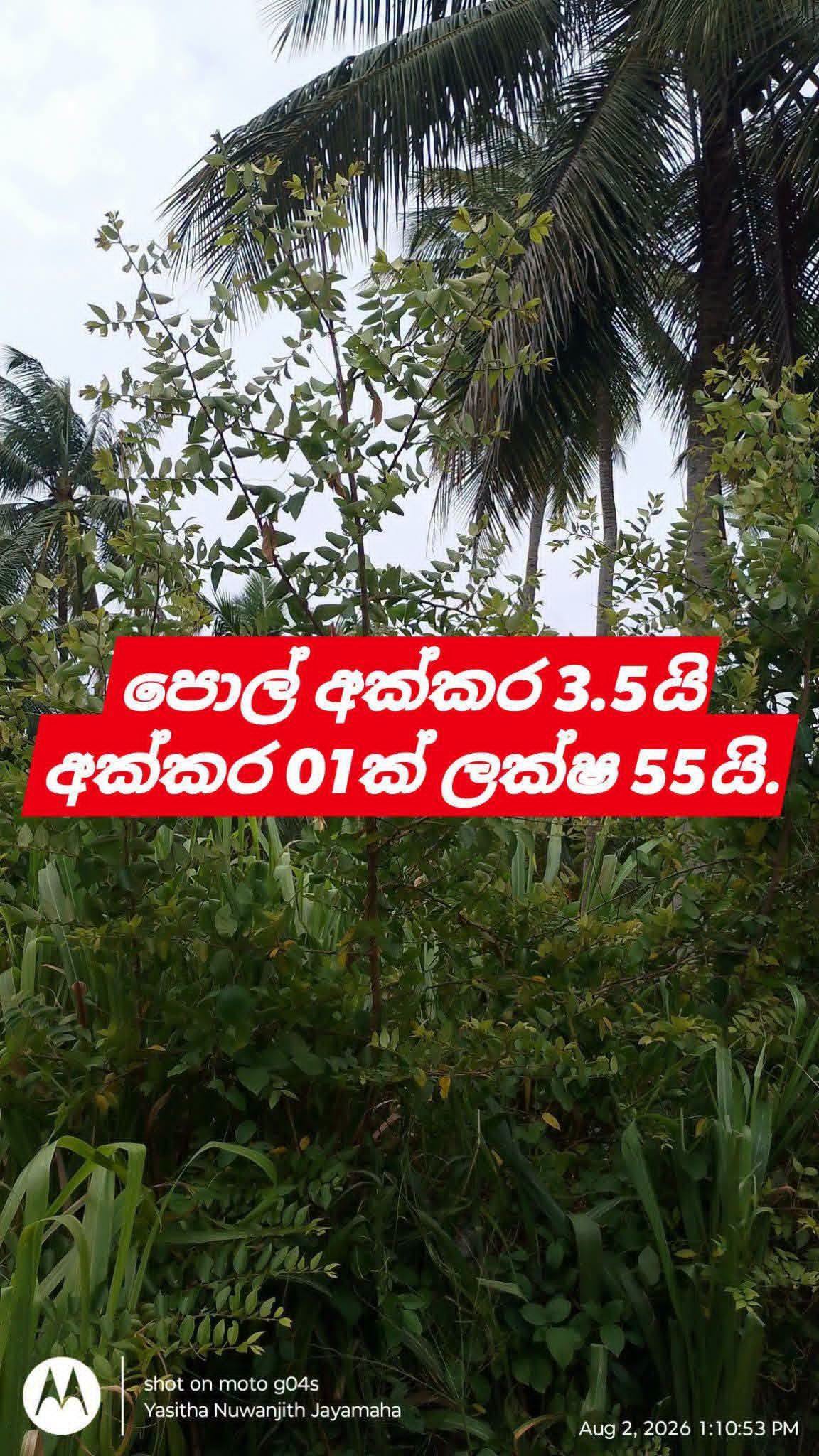පොල් ඉඩමක් සොයන ඔබට සුපිරි ආයෝජන අවස්ථාවක්!** **අක්කර 3යි පර්චස් 80ක වටිනා පොල් ඉඩමක් විකිණීමට!*