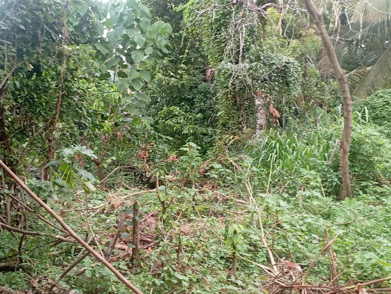 පිලියන්දල ගගබඩ පාරේ පිහිටා තිබේන මෙම ඉඩම විකිණිමට ඇත.