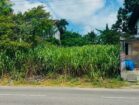 KOTTAWA – SIDDAMULLA 255 MAIN ROAD FACING VALUABLE LAND FOR SALE ..