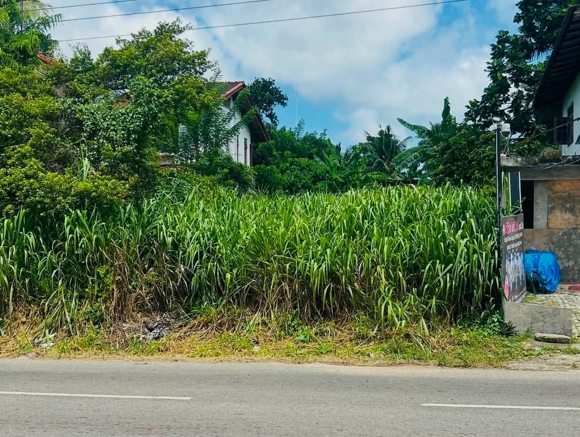 KOTTAWA – SIDDAMULLA 255 MAIN ROAD FACING VALUABLE LAND FOR SALE ..