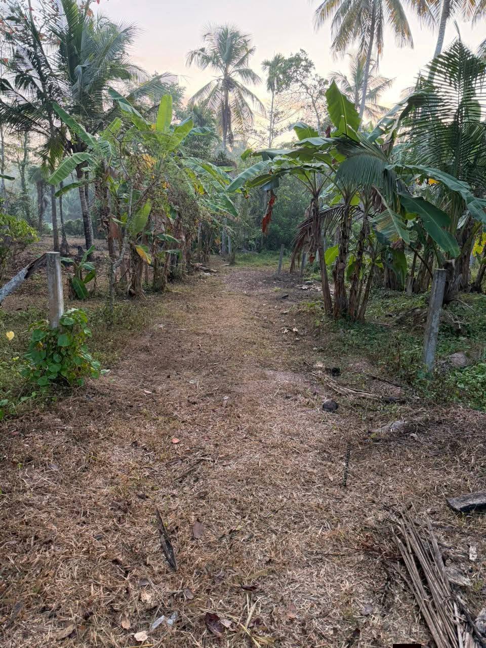 සංචාරක හෝටල් කබානා සදහා සුදුසු පරිසරයකි. FOR SALE