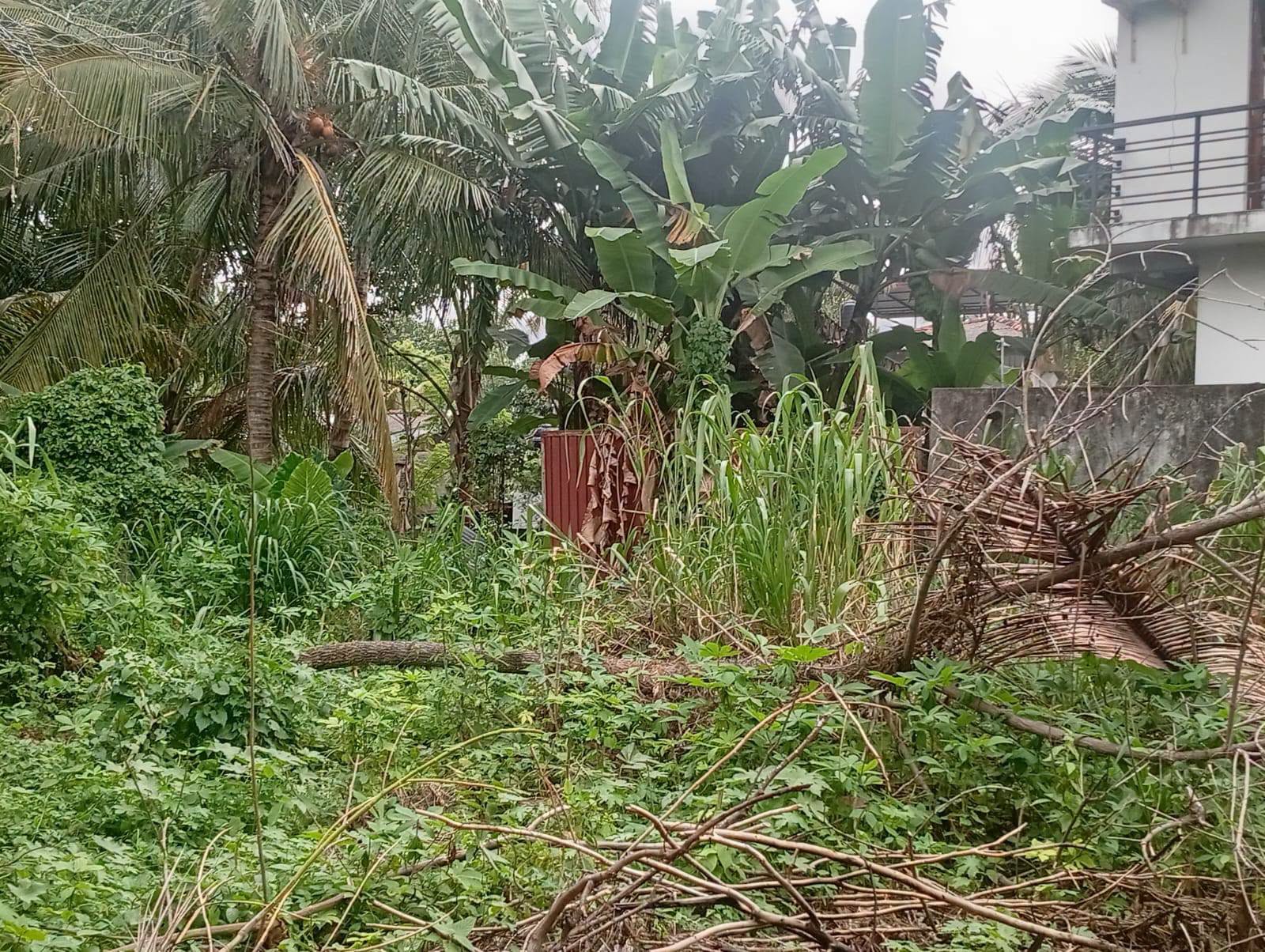 පිලියන්දල ගගබඩ පාරේ පිහිටා තිබේන මෙම ඉඩම විකිණිමට ඇත.