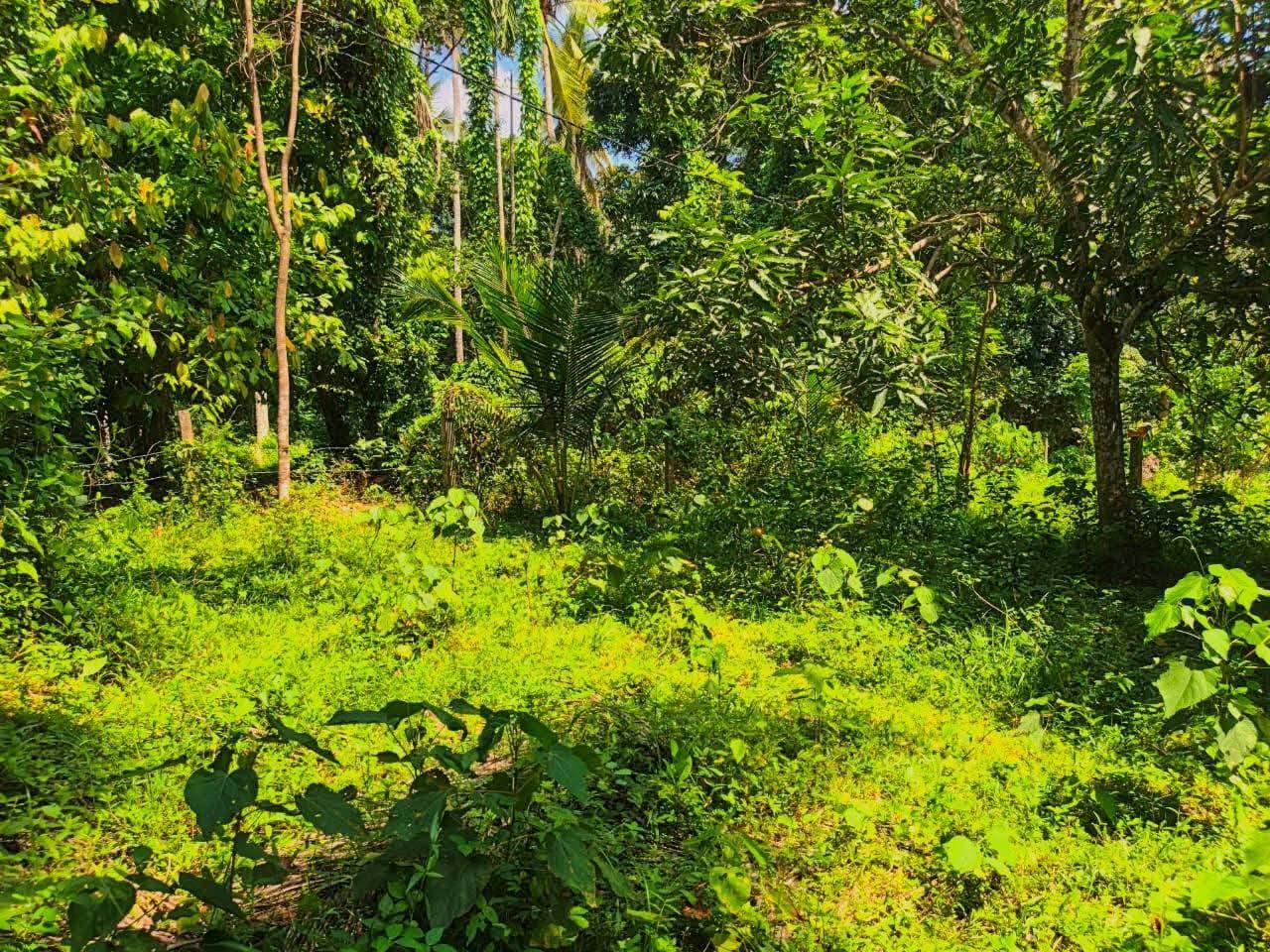 දෙවලපොළ පංසල් හංදියෙන් ප්‍රදේශයේ අඩුම මිලට විකිණීමට