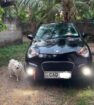 2016 micro panda