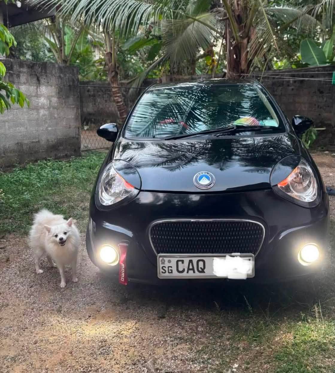 2016 micro panda