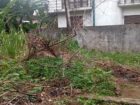 පිලියන්දල ගගබඩ පාරේ පිහිටා තිබේන මෙම ඉඩම විකිණිමට ඇත.