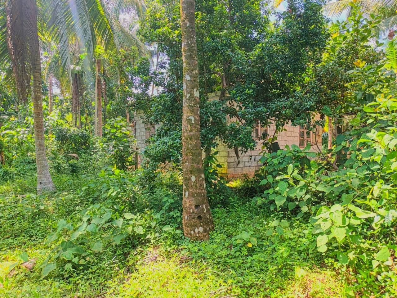 දෙවලපොළ පංසල් හංදියෙන් ප්‍රදේශයේ අඩුම මිලට විකිණීමට