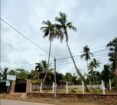 කොච්චිකඩේ මඩම්පැල්ල පාර හල්පේ දේවස්ථනය අසල පර්චස් 15 ඉඩම් කොටස් 2 විකිණීමට ඇත.