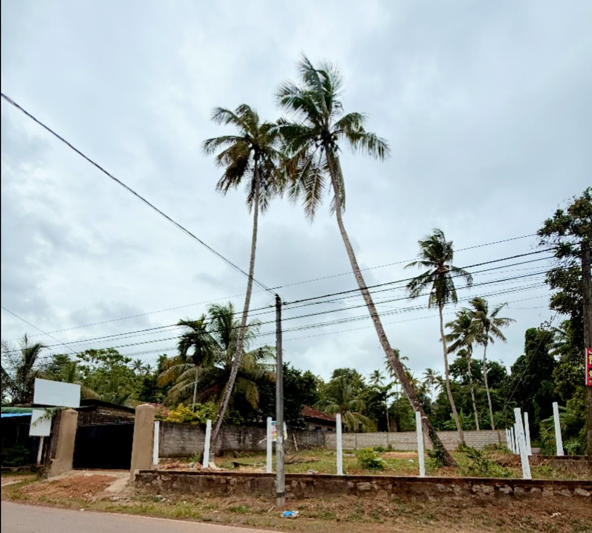 කොච්චිකඩේ මඩම්පැල්ල පාර හල්පේ දේවස්ථනය අසල පර්චස් 15 ඉඩම් කොටස් 2 විකිණීමට ඇත.