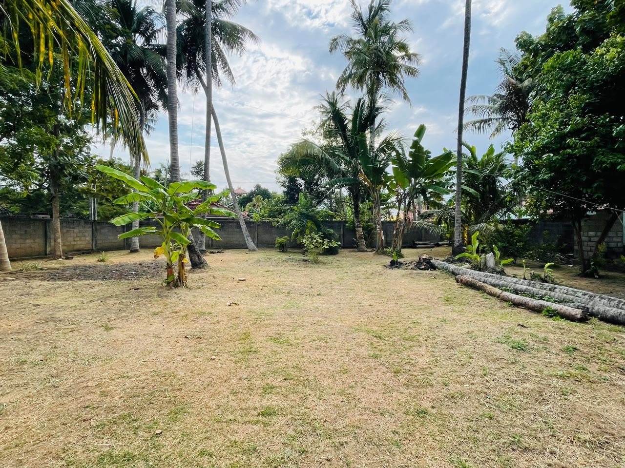 වෙන්නප්පුව පල්ලිය පිටුපස පර් 25 ඉඩමක් විකිණීමට ඇත.