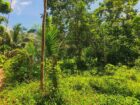 දෙවලපොළ පංසල් හංදියෙන් ප්‍රදේශයේ අඩුම මිලට විකිණීමට
