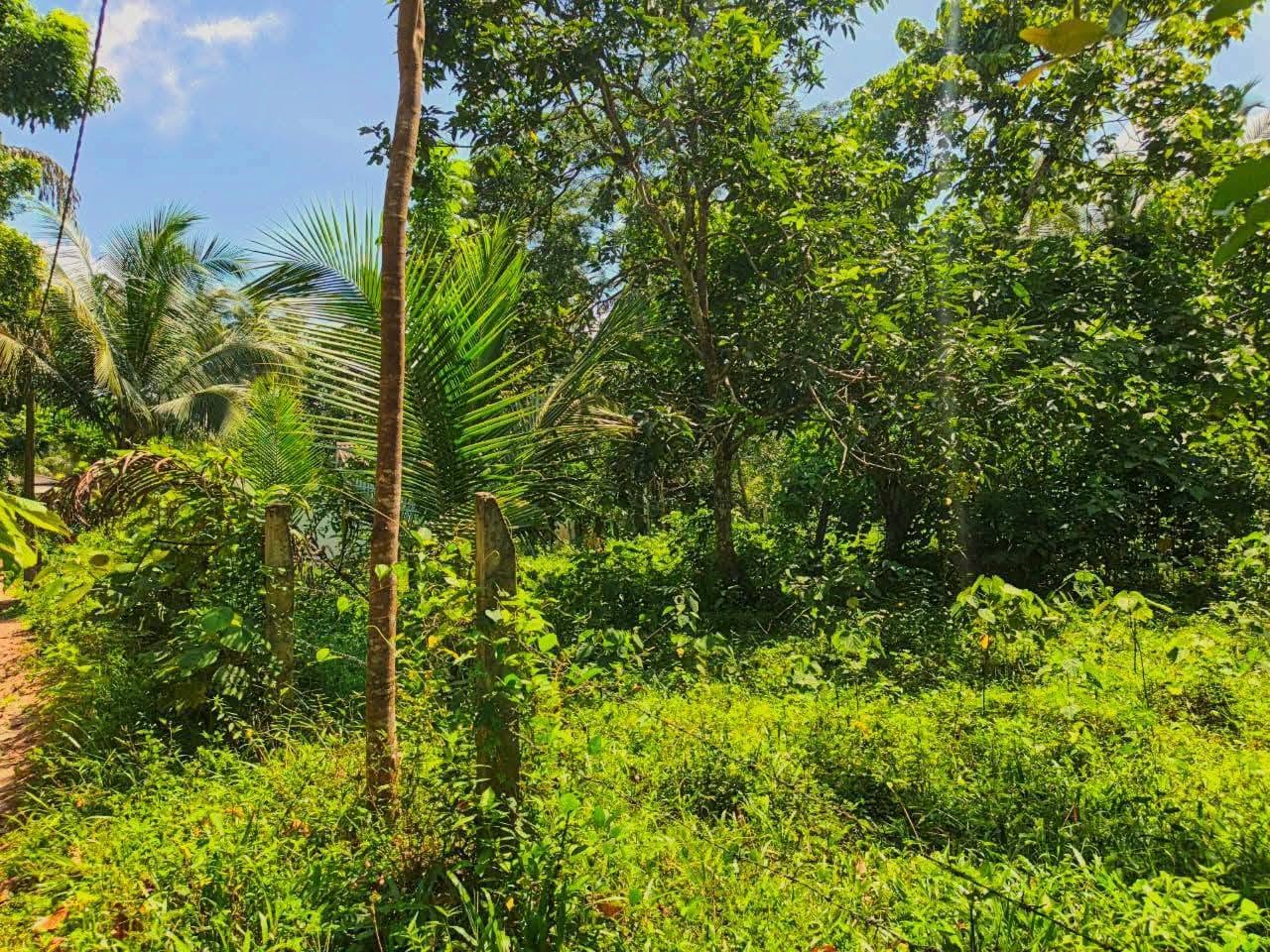 දෙවලපොළ පංසල් හංදියෙන් ප්‍රදේශයේ අඩුම මිලට විකිණීමට