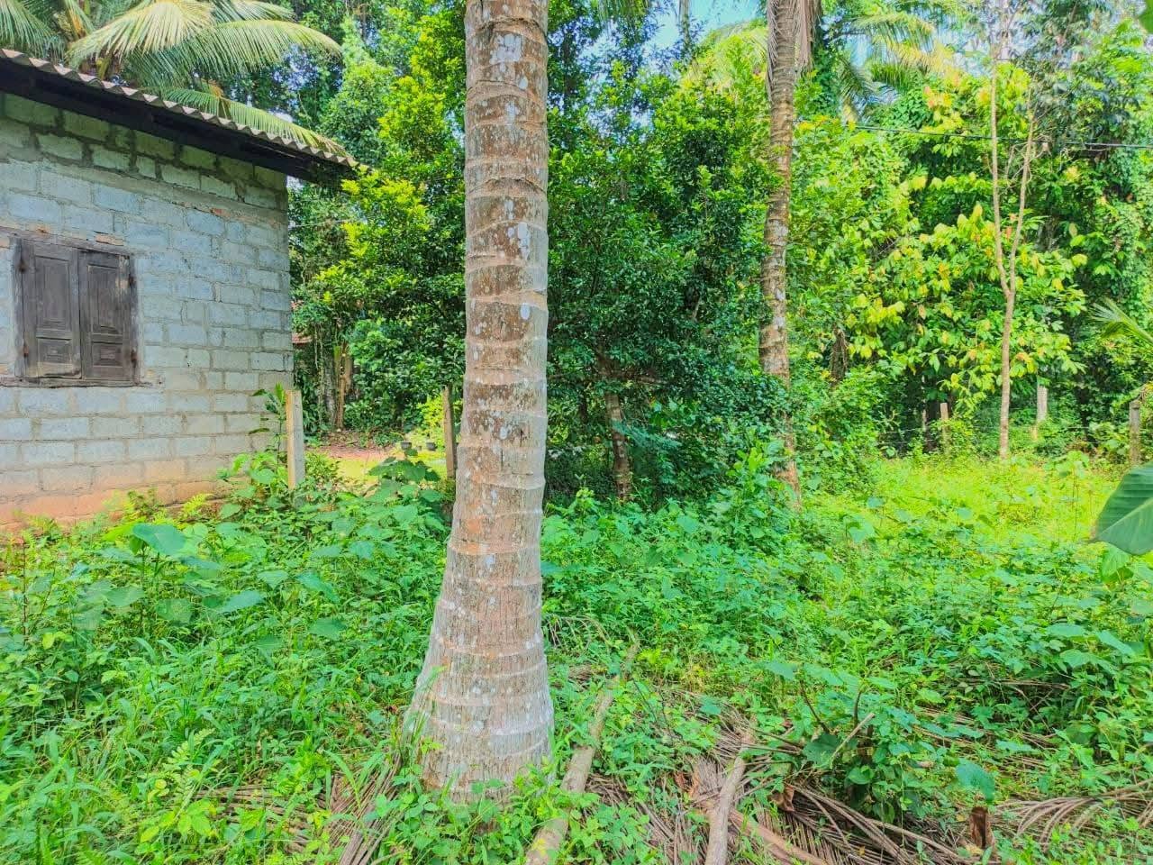 දෙවලපොළ පංසල් හංදියෙන් ප්‍රදේශයේ අඩුම මිලට විකිණීමට